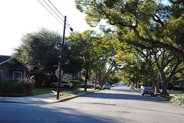 DSC 0243