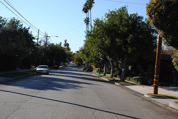 DSC 0246