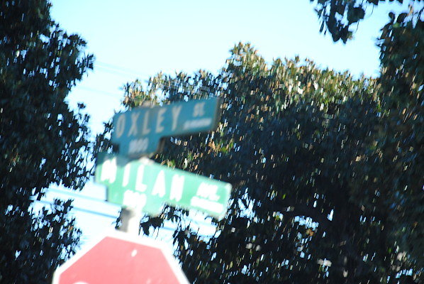 DSC 0229
