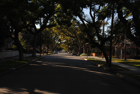 DSC 0241