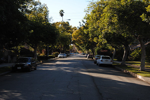 DSC 0250