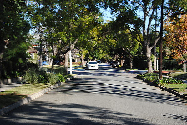DSC 0232
