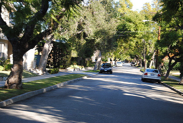 DSC 0231