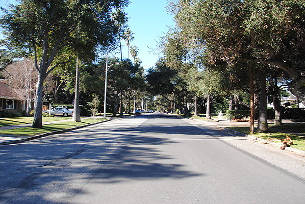 DSC 0103