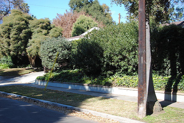 DSC 0131