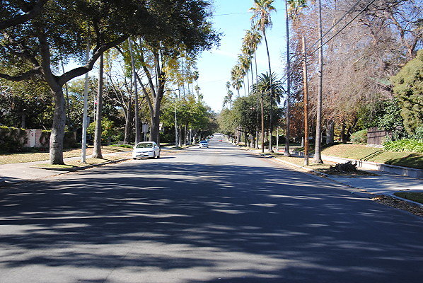 DSC 0130