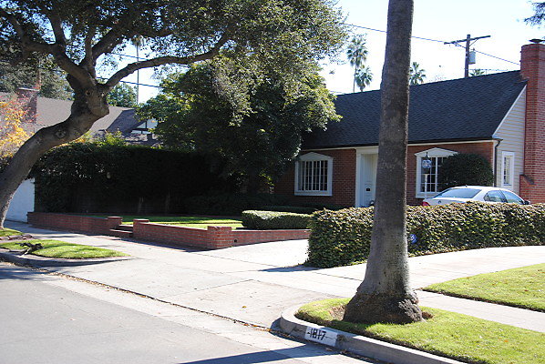 DSC 0125