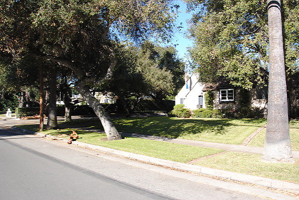DSC 0104