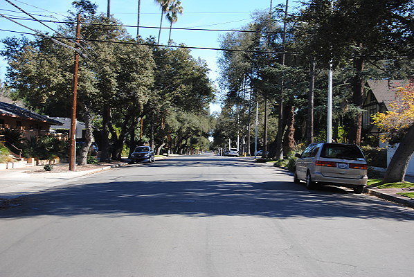 DSC 0124