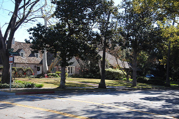 DSC 0137