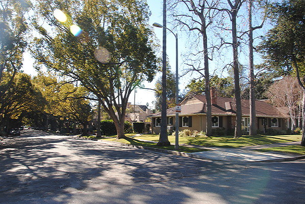 DSC 0102