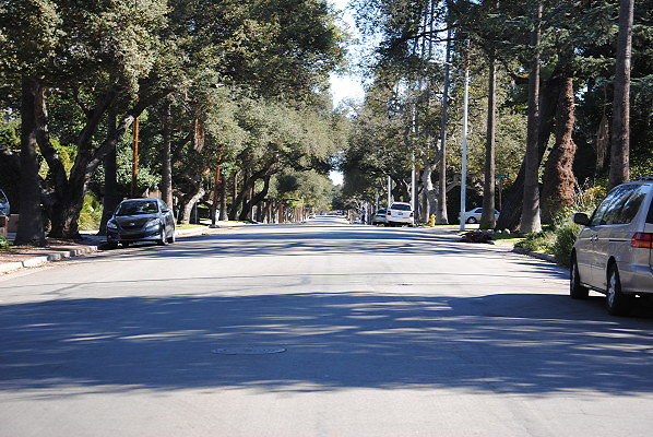 DSC 0126