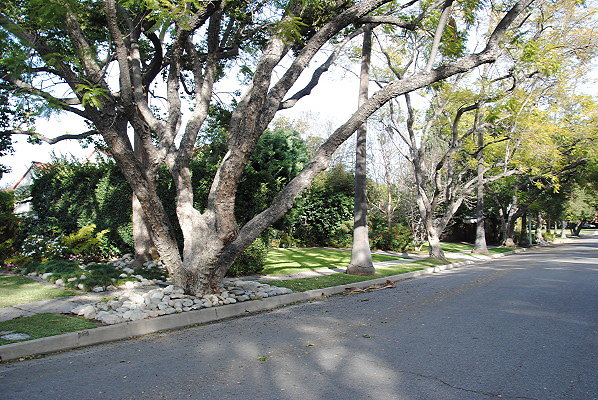 DSC 0028