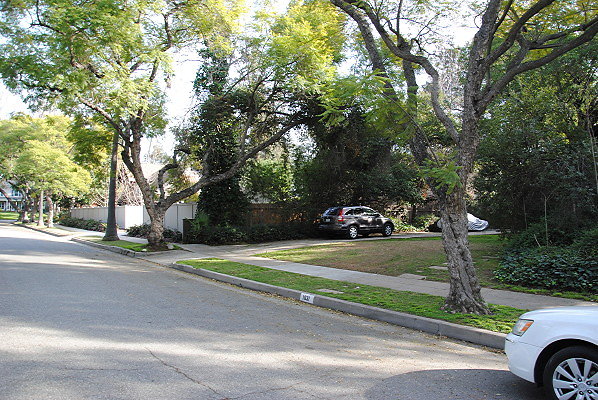 DSC 0029
