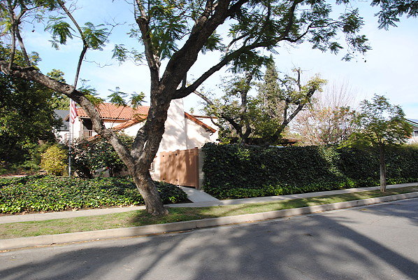 DSC 0002