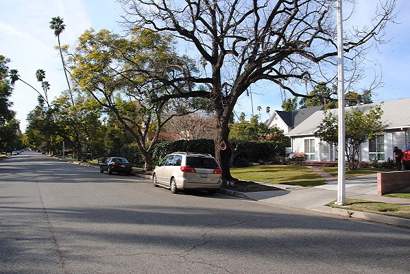 DSC 0014