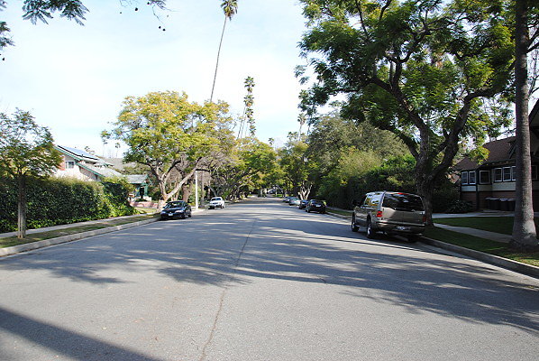 DSC 0003