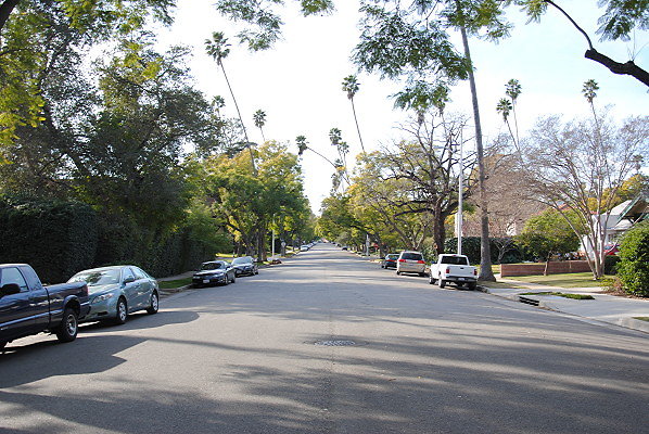 DSC 0021