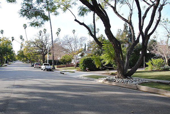 DSC 0026