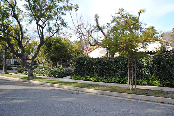 DSC 0010