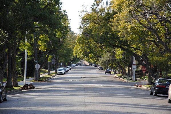 DSC 0024