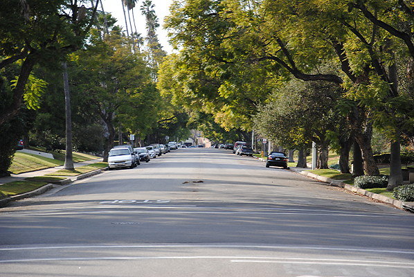 DSC 0012