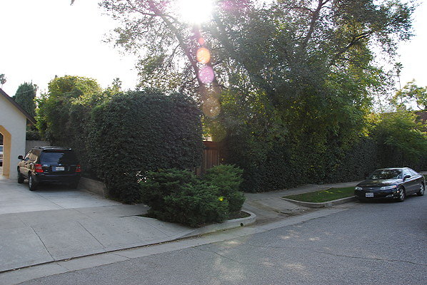 DSC 0019