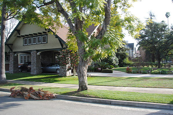 DSC 0004
