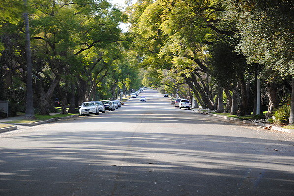 DSC 0035