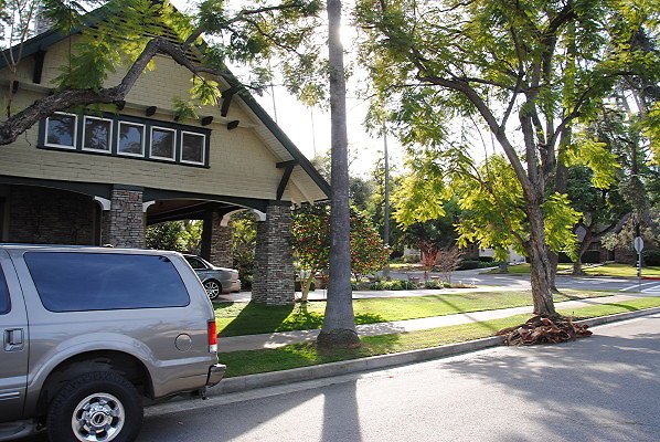 DSC 0008