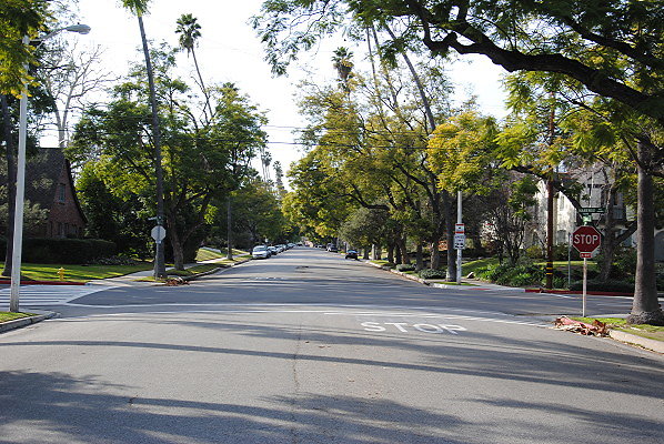 DSC 0011