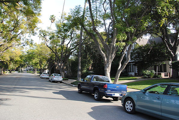 DSC 0017