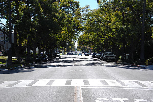 DSC 0201