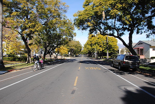 DSC 0218