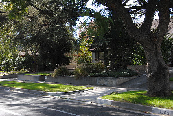 DSC 0243