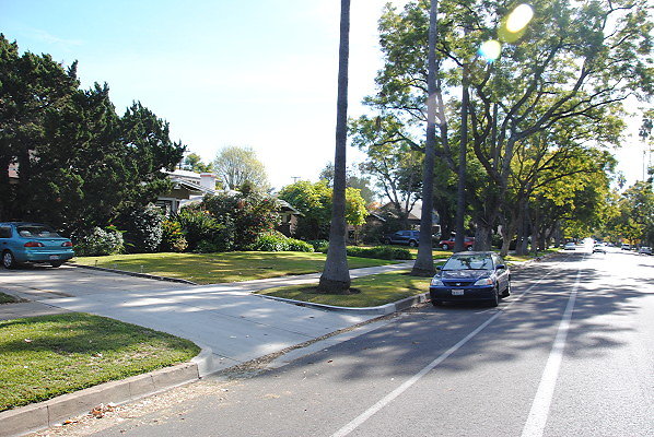 DSC 0252