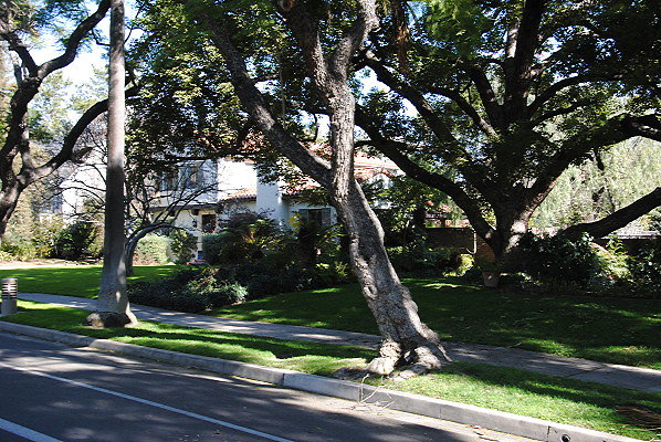 DSC 0194