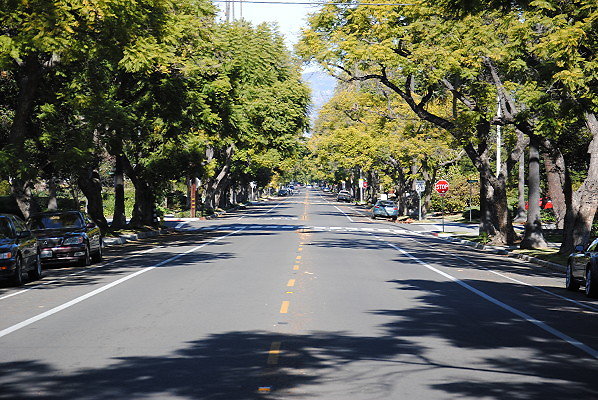 DSC 0195