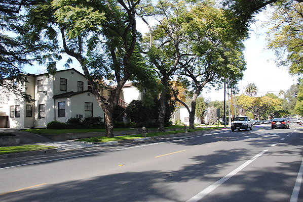 DSC 0249