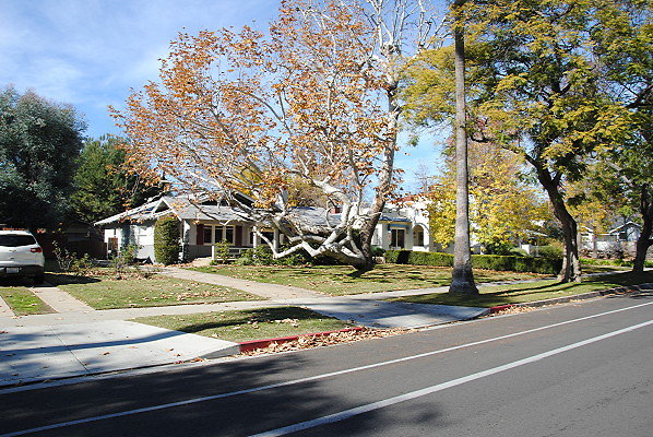 DSC 0217