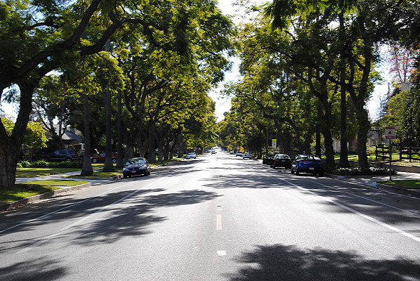 DSC 0242