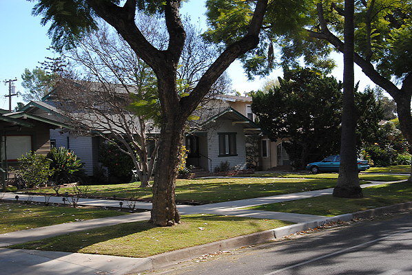 DSC 0241