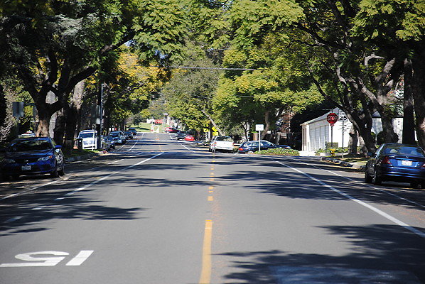 DSC 0239