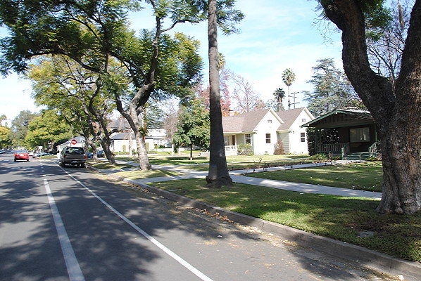 DSC 0250