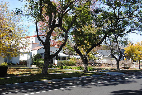 DSC 0207