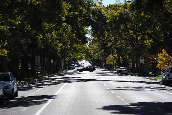 DSC 0233