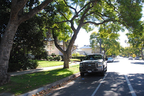 DSC 0228