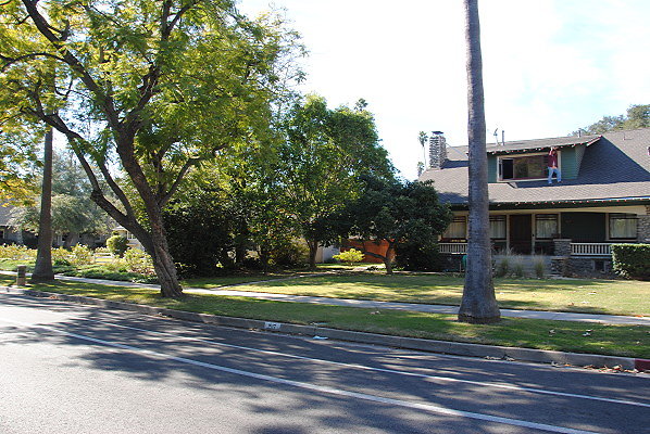 DSC 0213