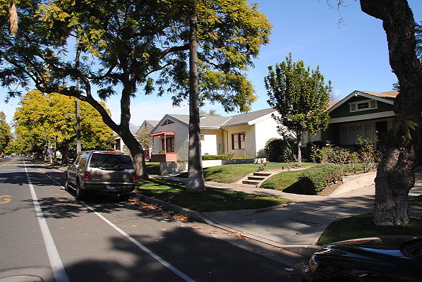DSC 0208