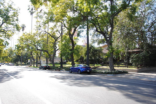 DSC 0247